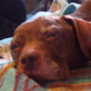 Meet your Posher, Sandra